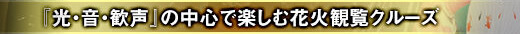 『光・音・歓声』の中心で楽しむ花火観覧クルーズ