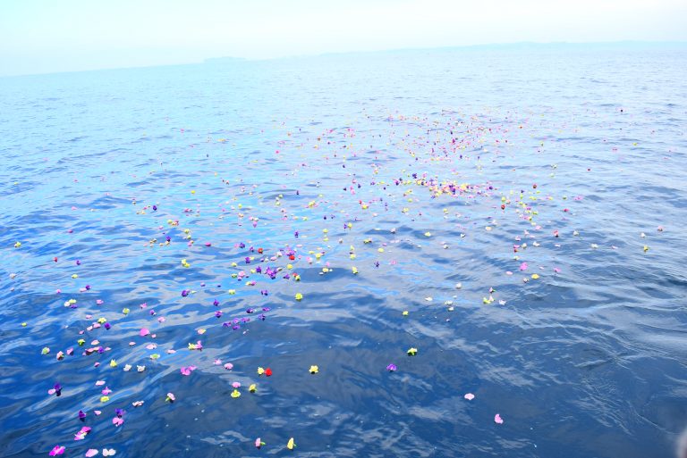 海洋散骨で海に浮かぶ花びら