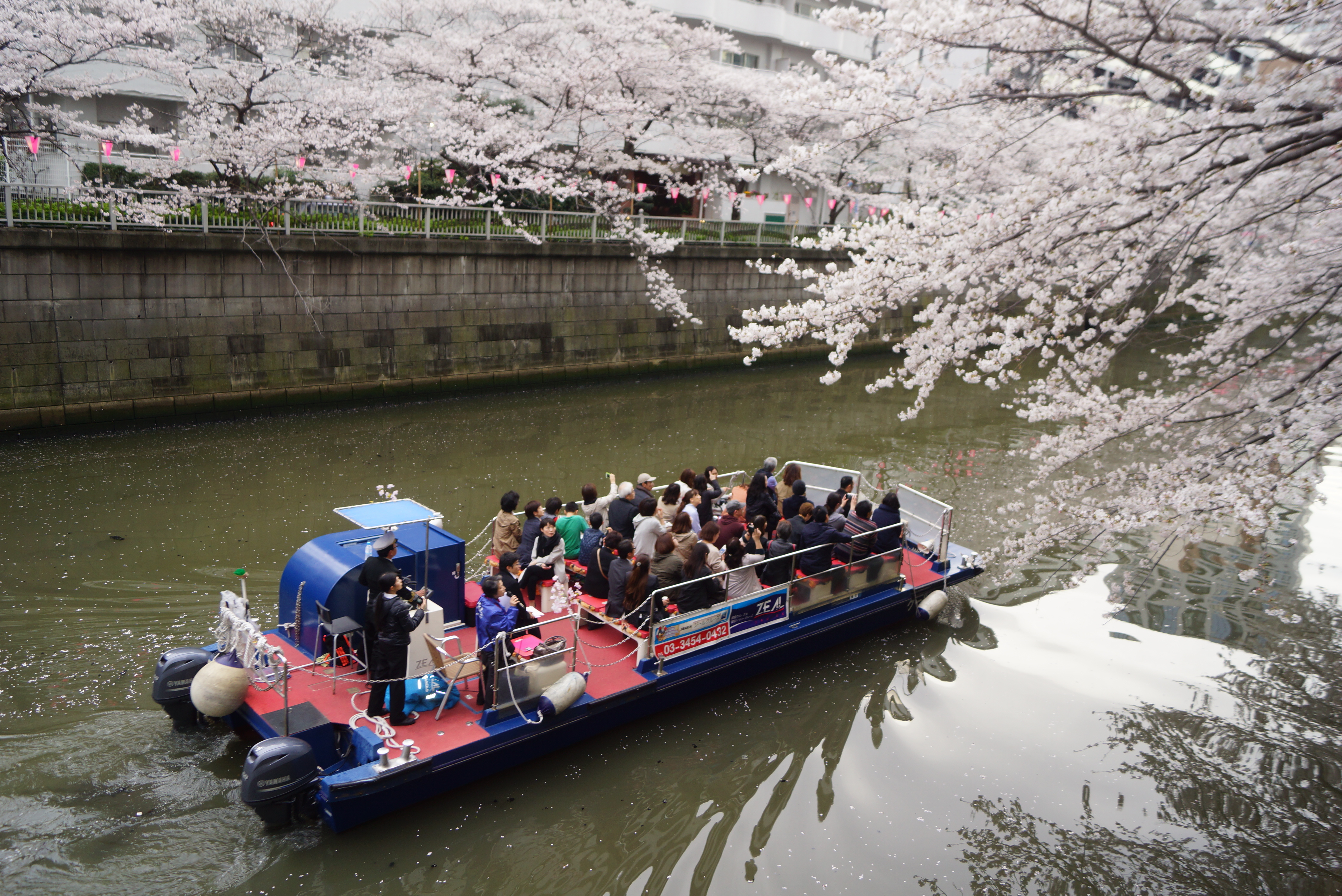 オープンデッキの船で花見を楽しむ人たち