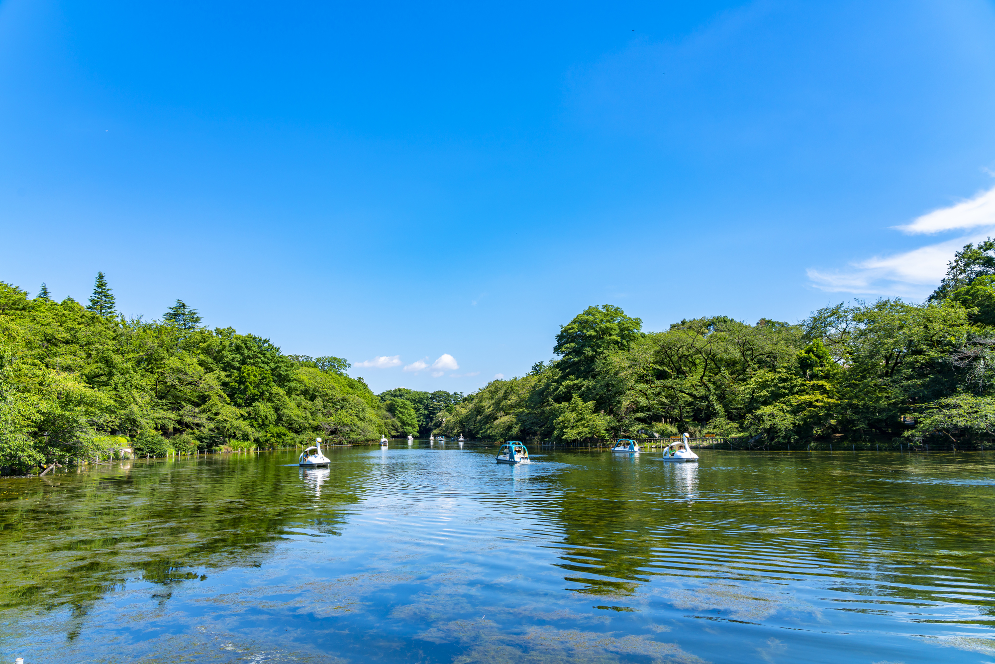 湖と公園