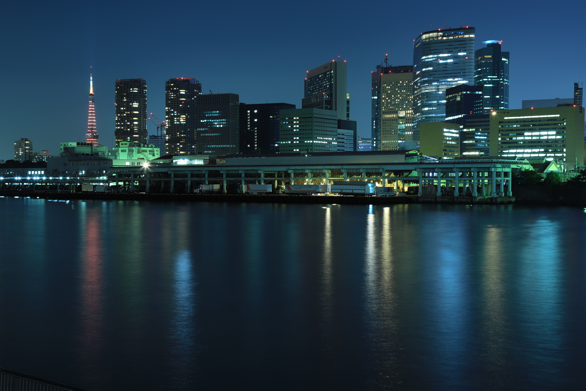 船の上から見る夜の築地市場と周辺の夜景