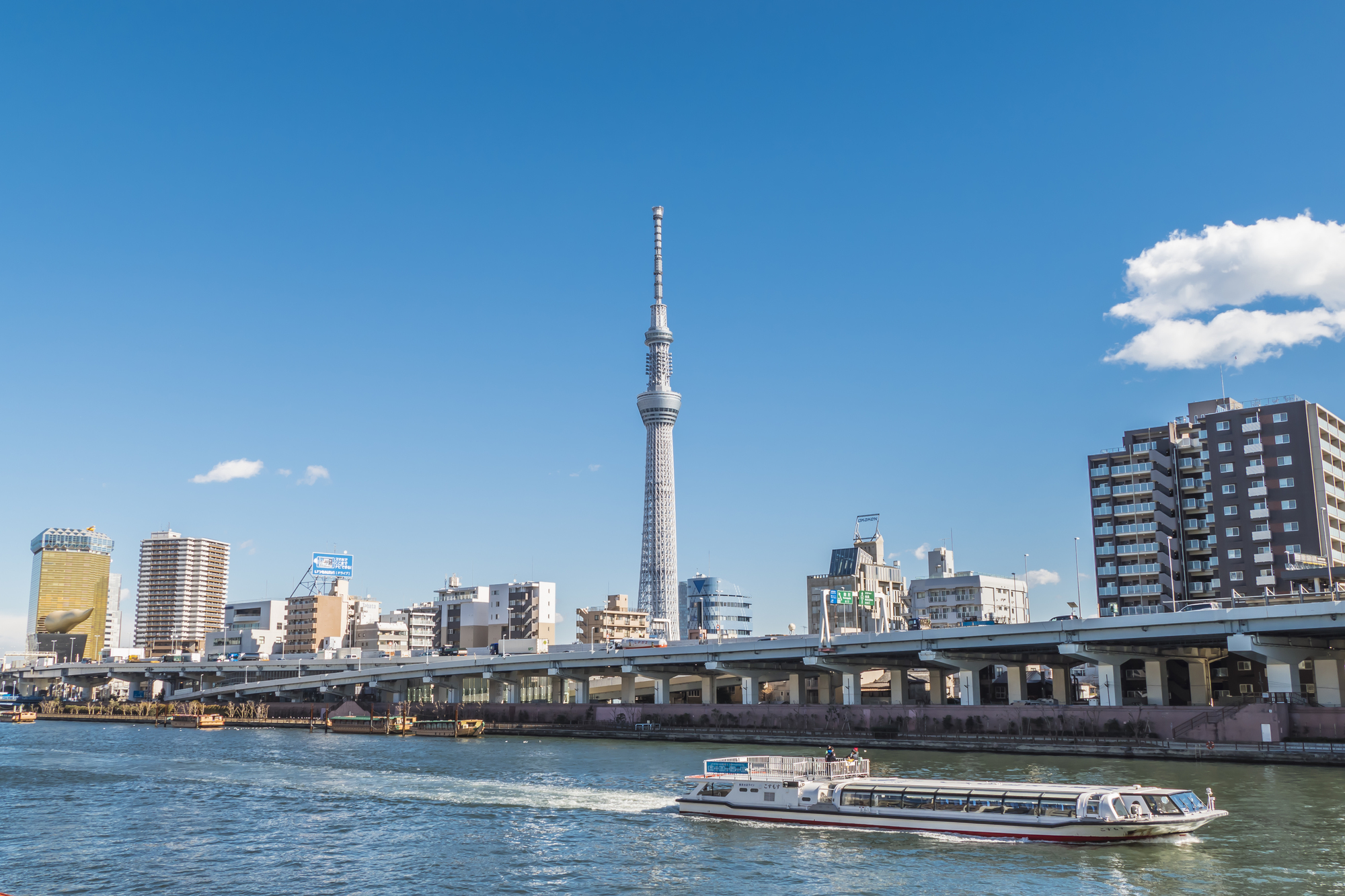 川を進むクルーザーの後ろにはスカイツリー