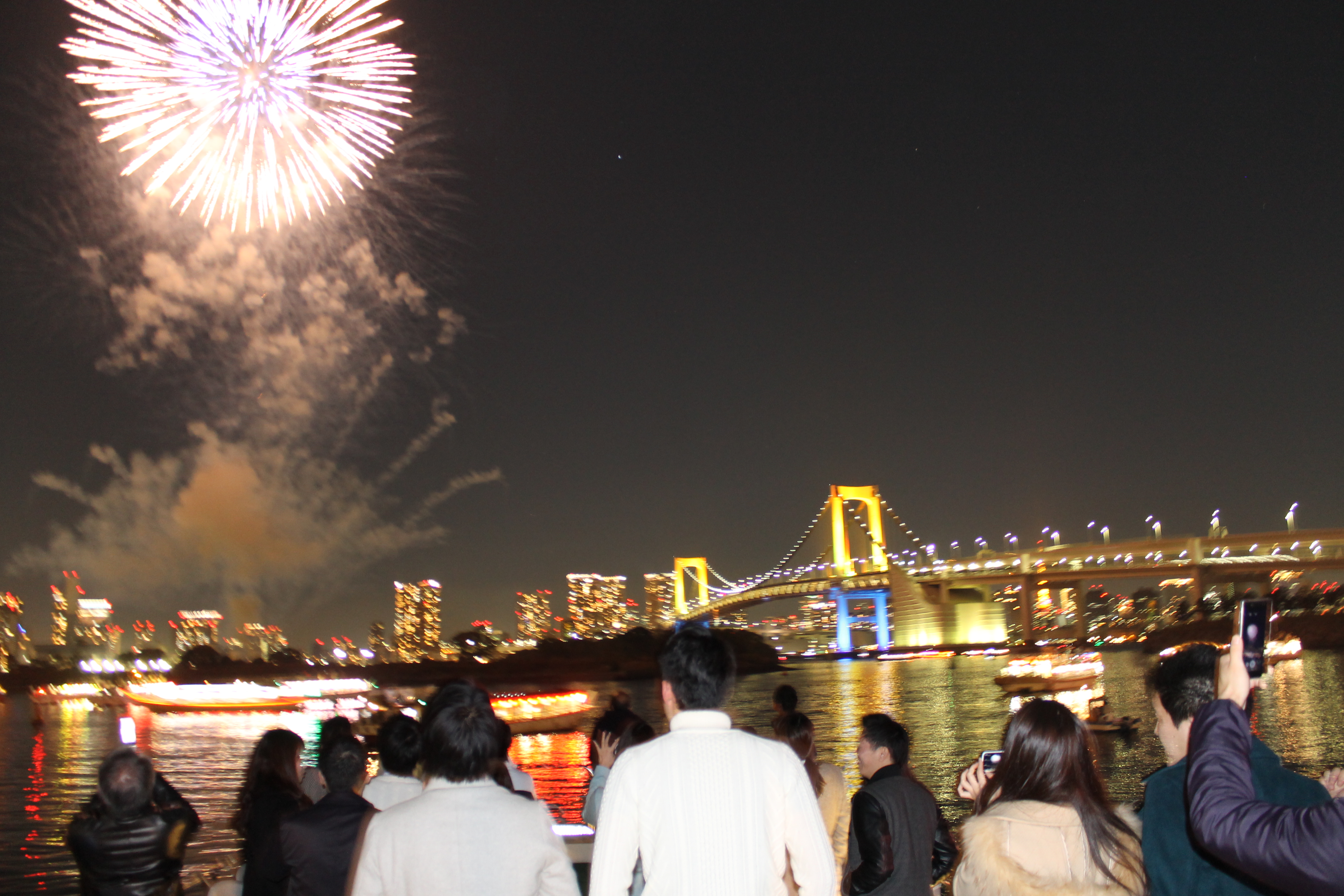 東京の夜景と花火を見るたくさんの人