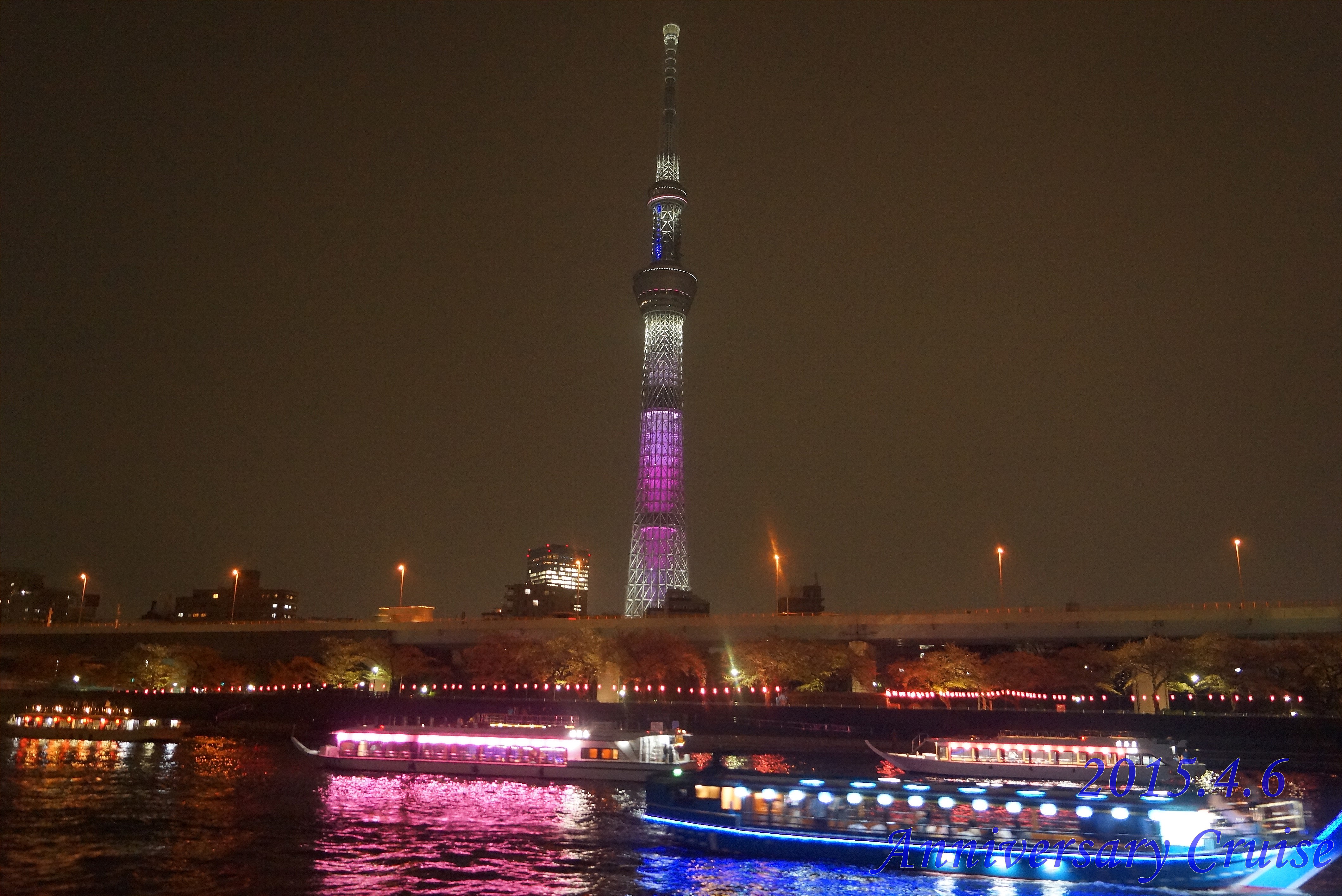 スカイツリーが見える夜景