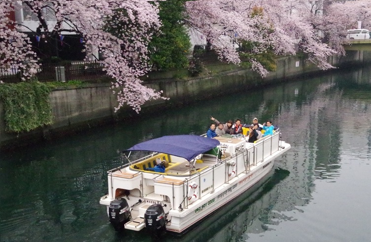 桜の咲く川を進む船