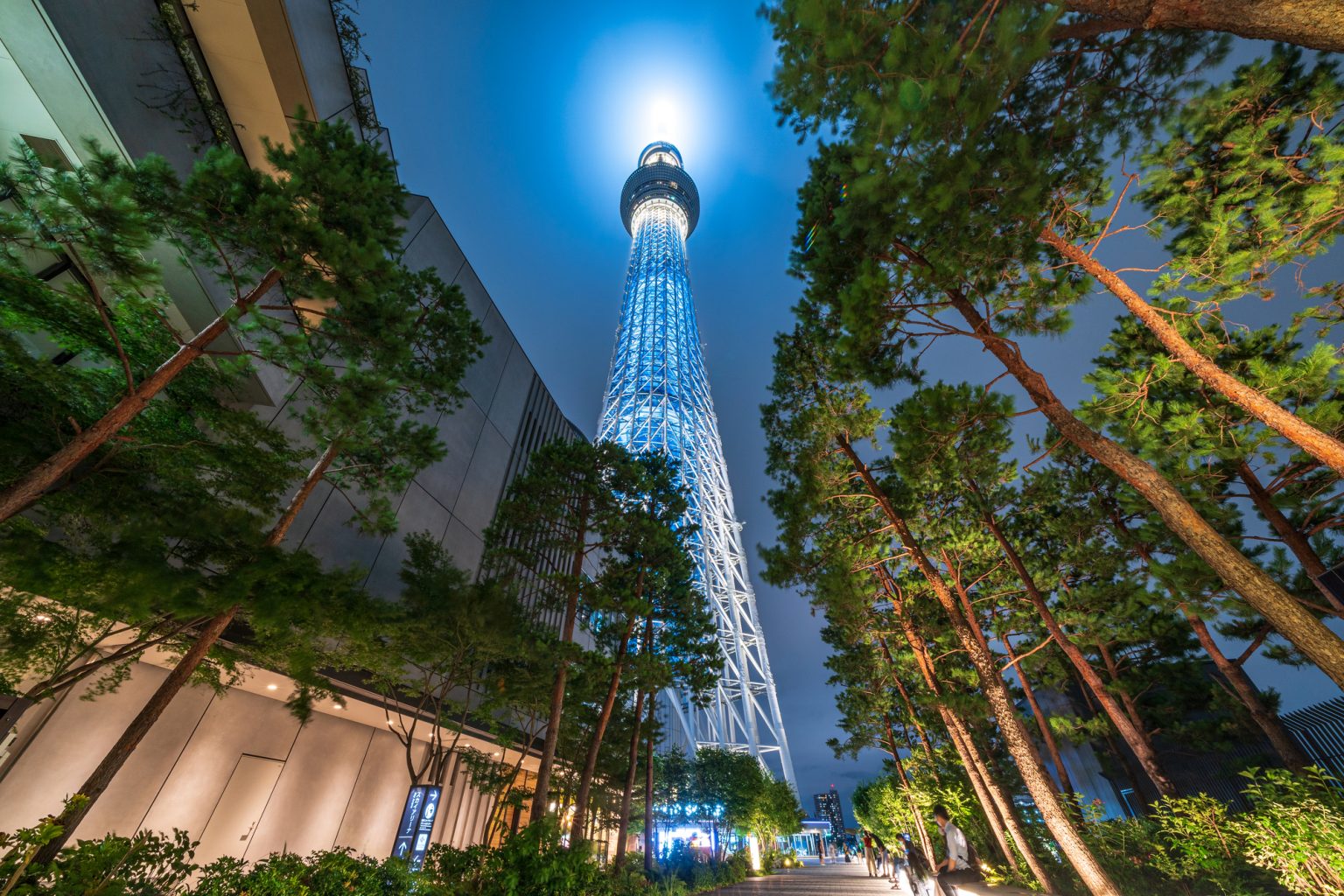 夜のスカイツリー