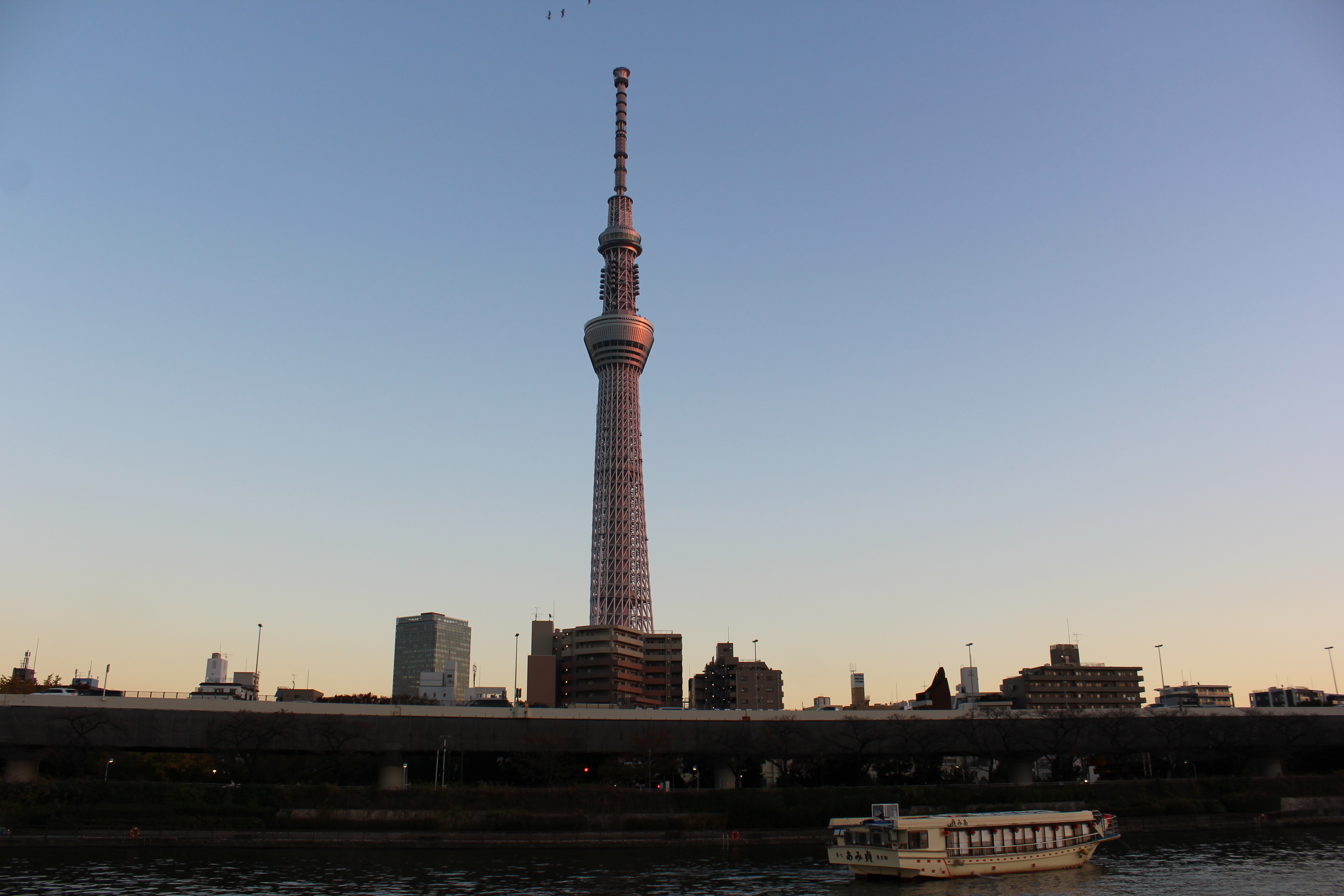 スカイツリーと夜景