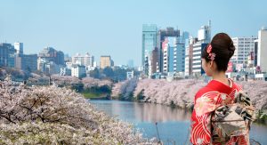 振袖を着た女性と桜が咲いている風景