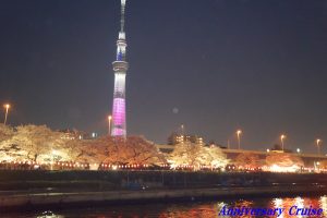 隅田川から見た夜桜とスカイツリー