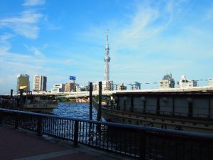 スカイツリーが見える風景