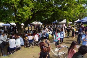 お花見ランチは船の上 優雅な女子会スポット クルージングナビ 貸切クルージングなら東京湾アニバーサリークルーズ