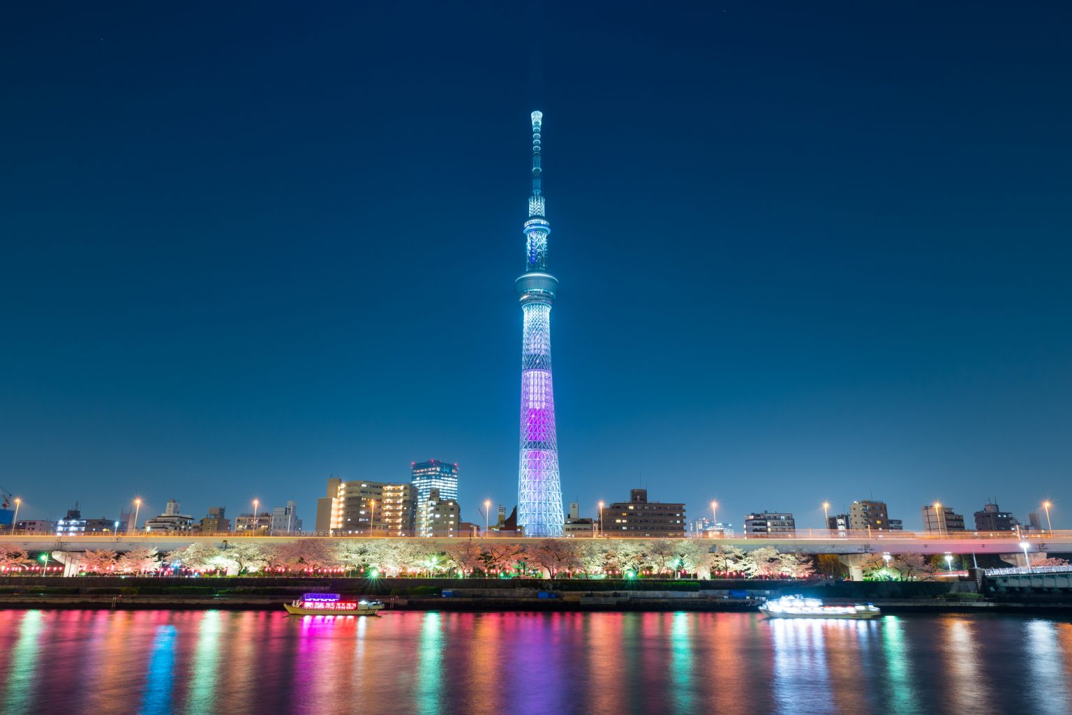 ライトアップされたスカイツリーと桜