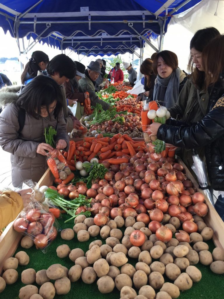 みうらみさきツアー　野菜袋詰め放題