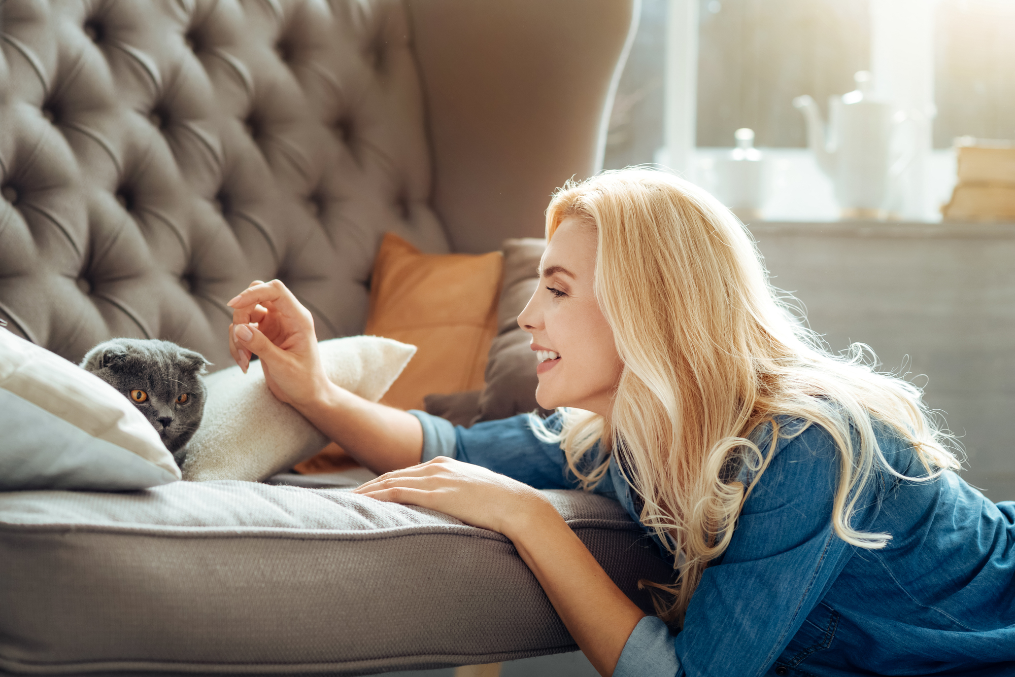 ソファでくつろぐ猫と女性