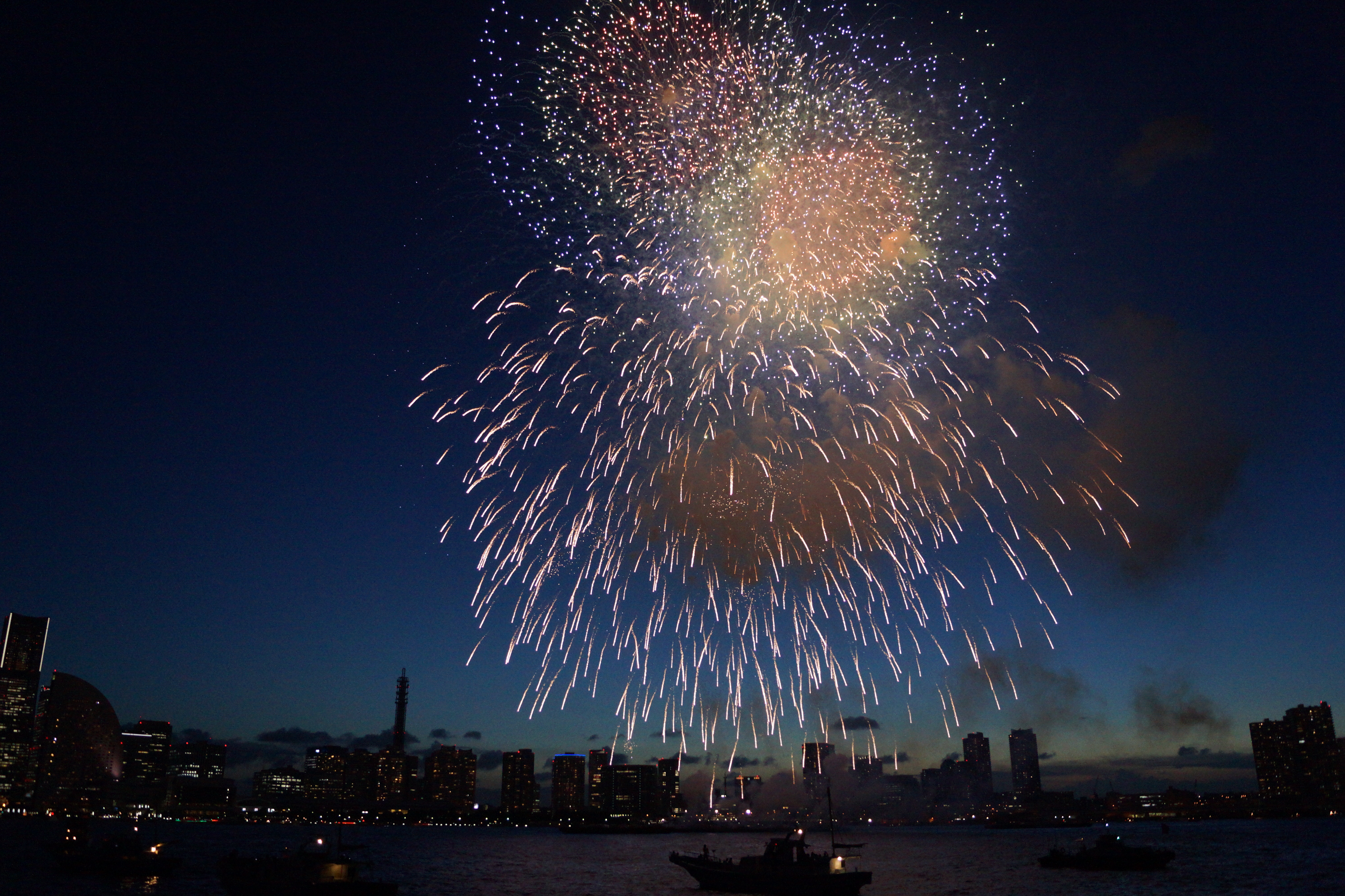 大きな花火が打ち上げられている様子