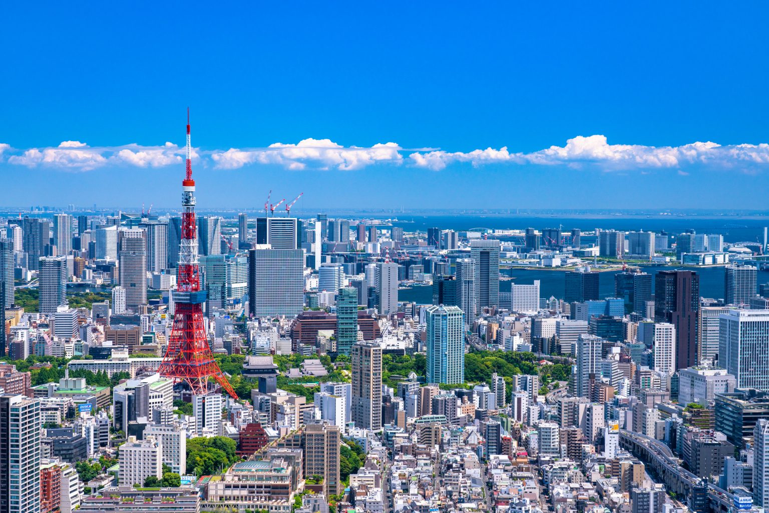 空から見た都心の風景