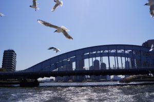 隅田川の永代橋