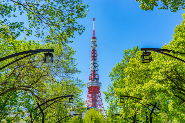 木の間から見える東京タワー