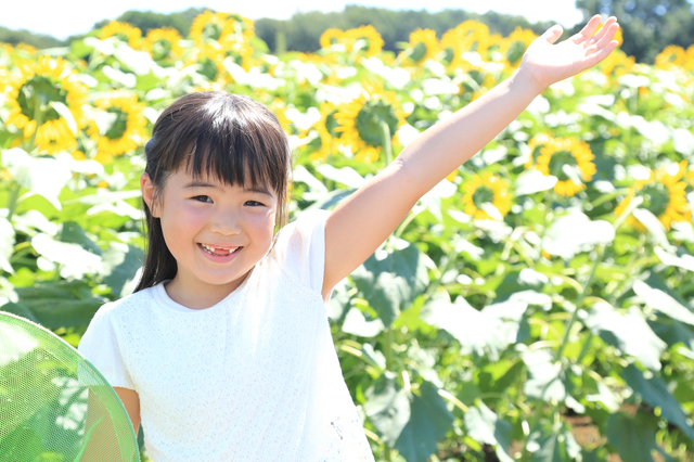 夏休みの思い出づくりに 小学生向けのイベントをチェック クルージングナビ クルージングなら東京湾アニバーサリークルーズ