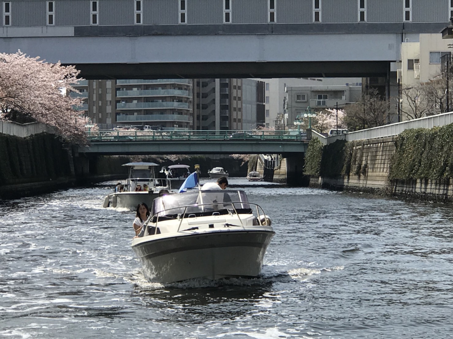 小型のクルーザーで爽快に川を走る