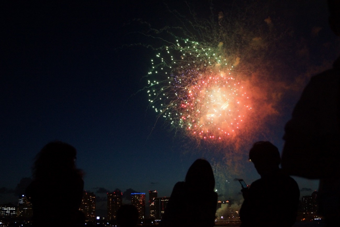 夜空に咲き開く花火を見物している風景