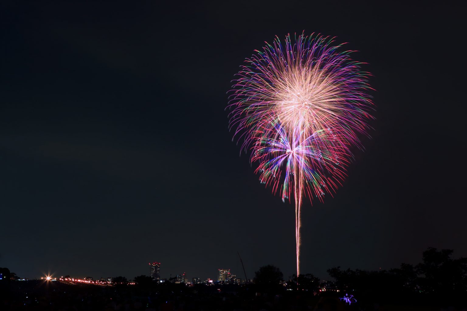 江戸川区花火大会の花火