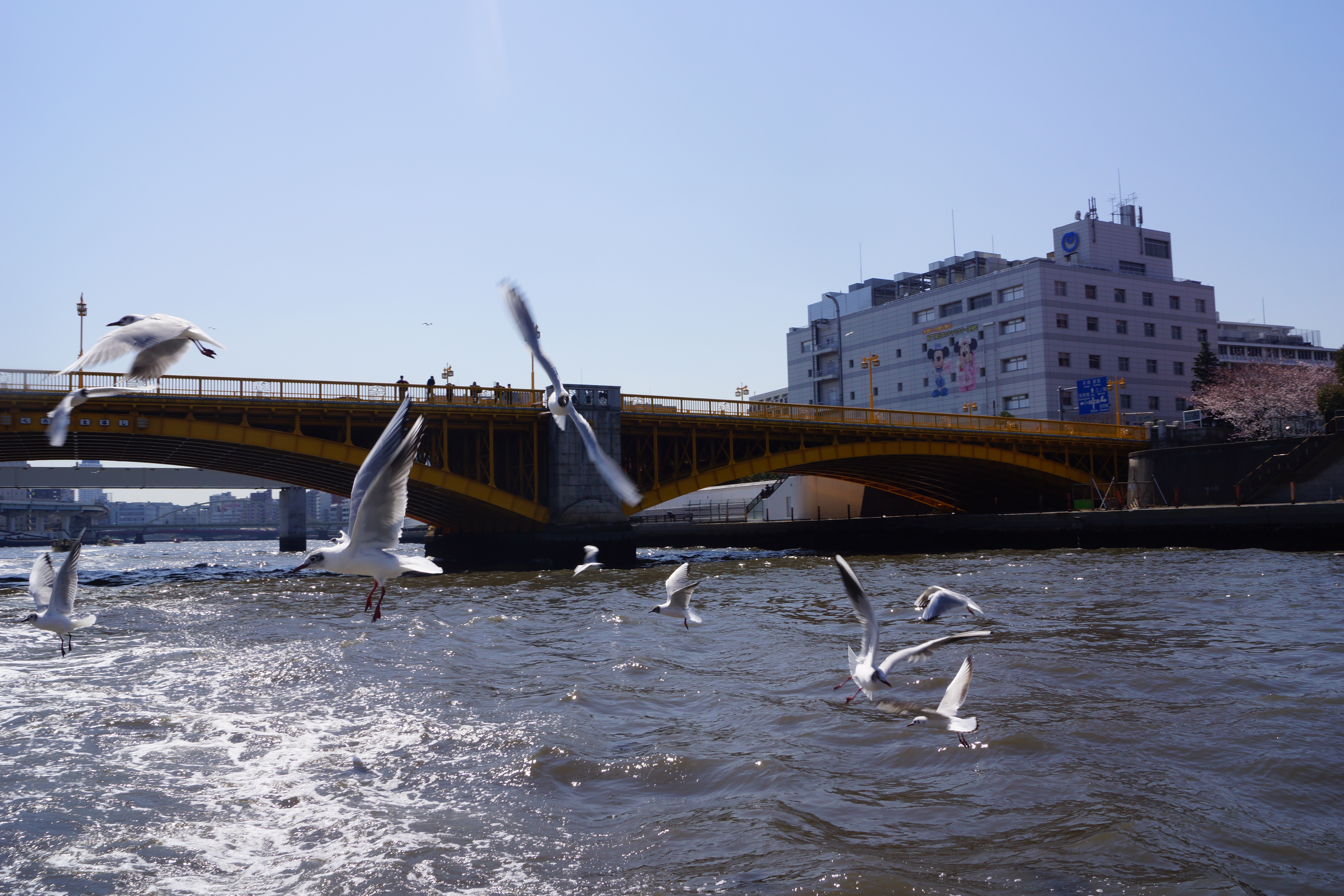 船上から眺める隅田川の蔵前橋