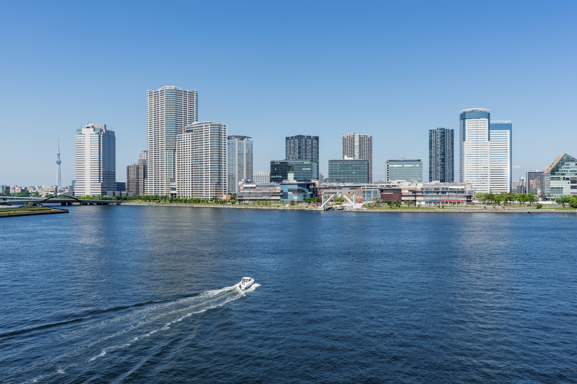 東京湾から見る豊洲エリアとスカイツリー