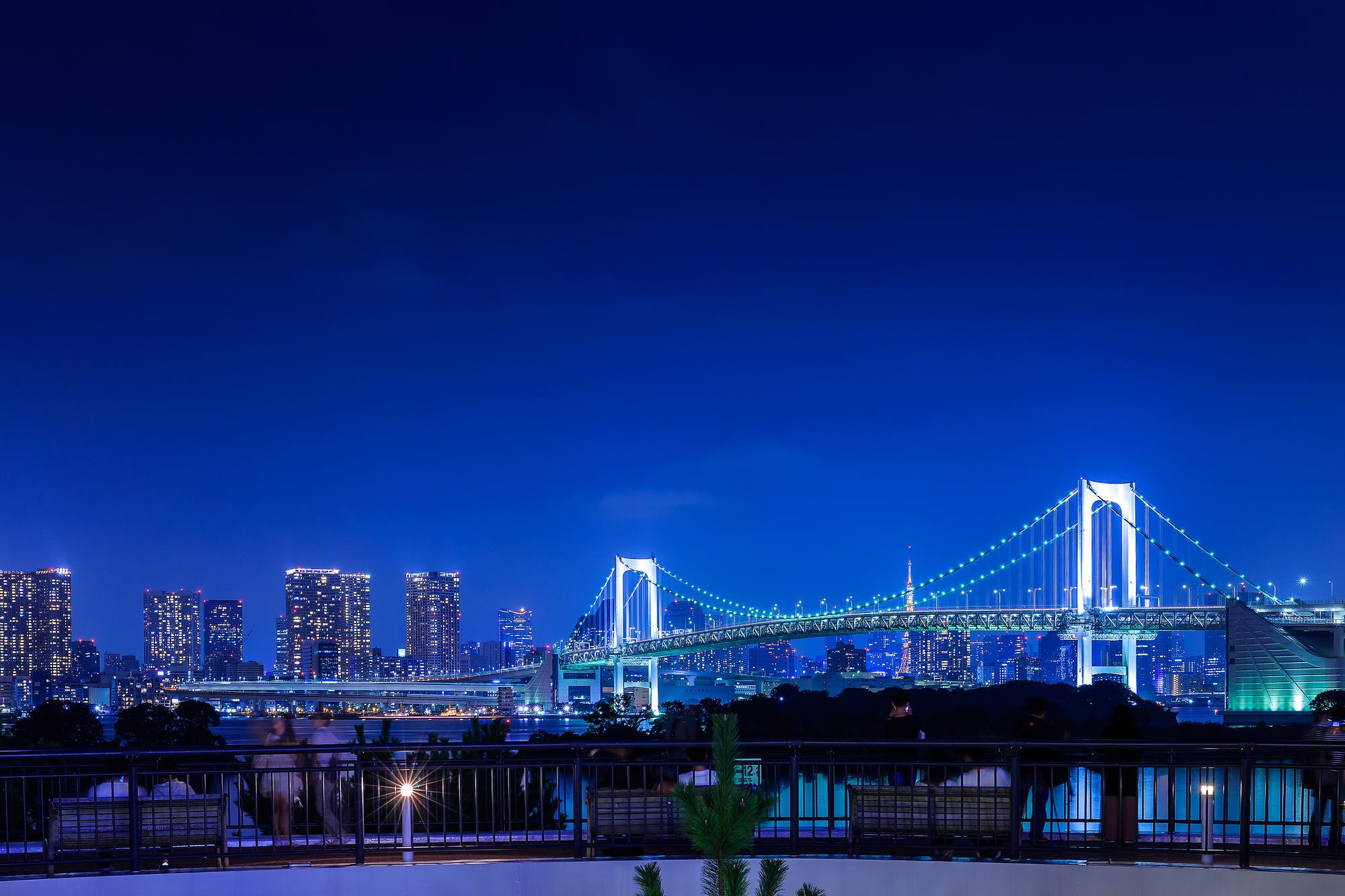 ライトアップされたベイブリッジなど東京の美しい夜景