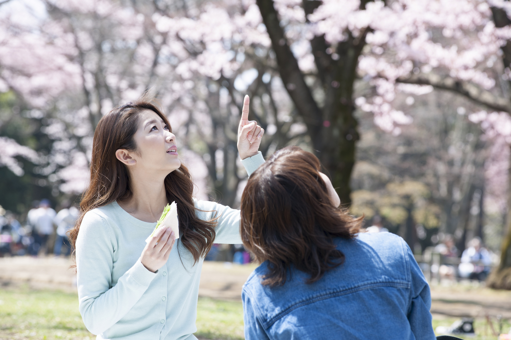 桜を見ながら食事をする女性