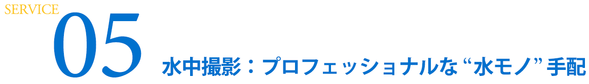 SERVICE 05  水中撮影：プロフェッショナルな“水モノ”手配