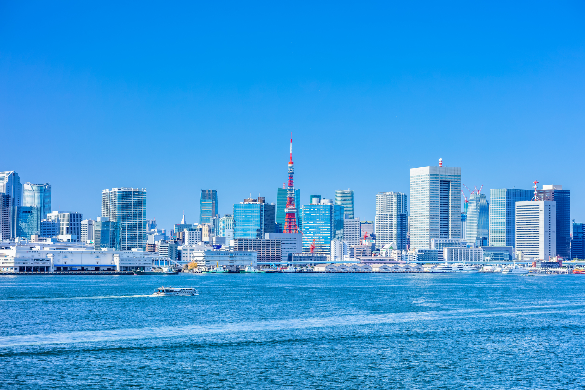 海から見える東京タワーと街並み