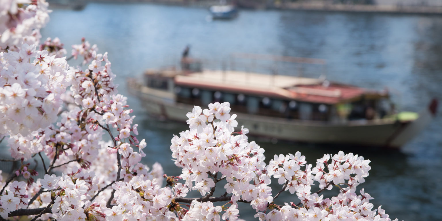 Flower-viewing cruise