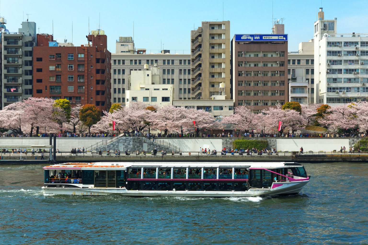 隅田川を運航するクルーザー