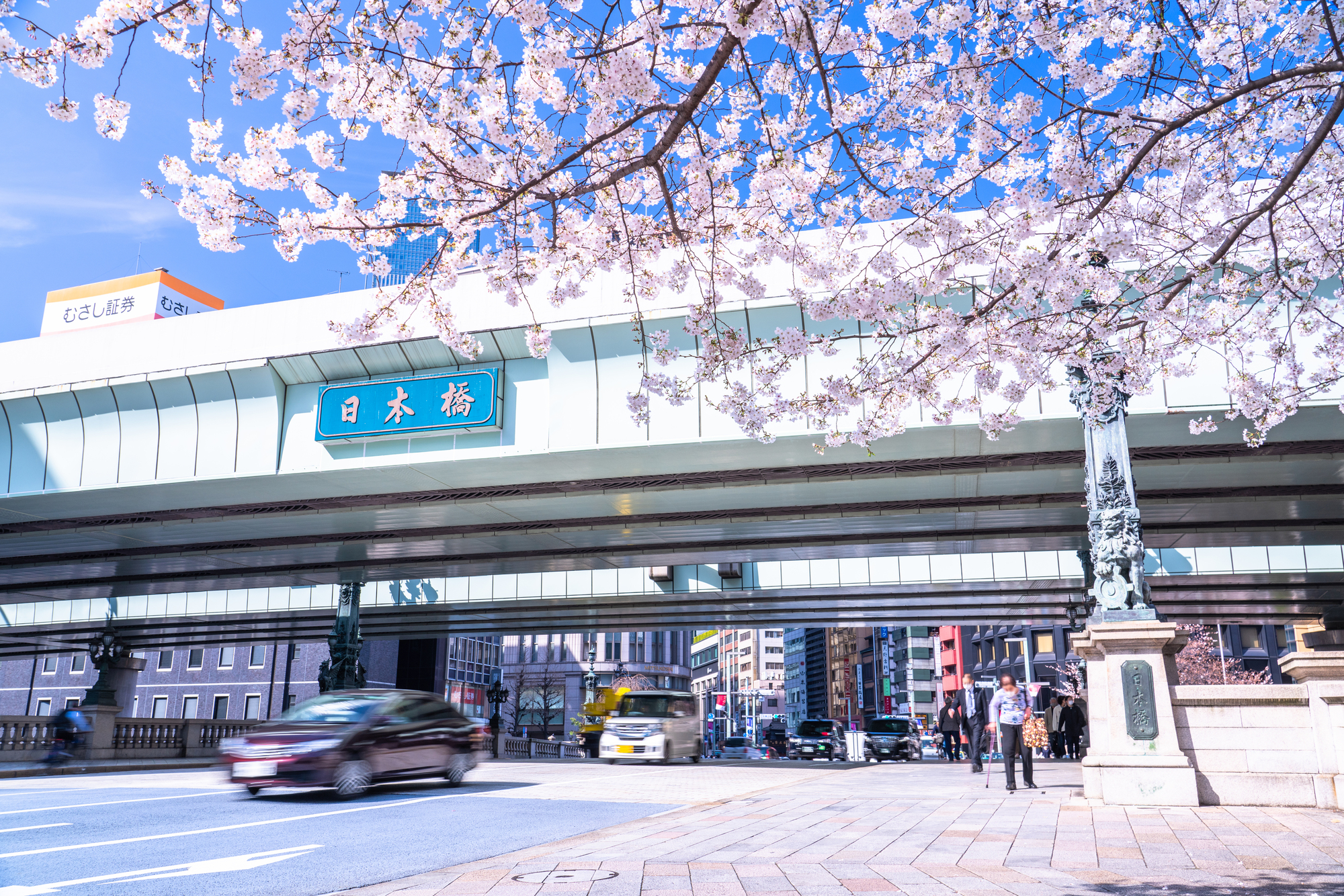 日本橋駅と桜