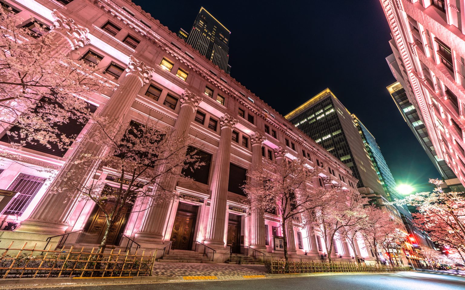 江戸桜通りの夜桜と景観