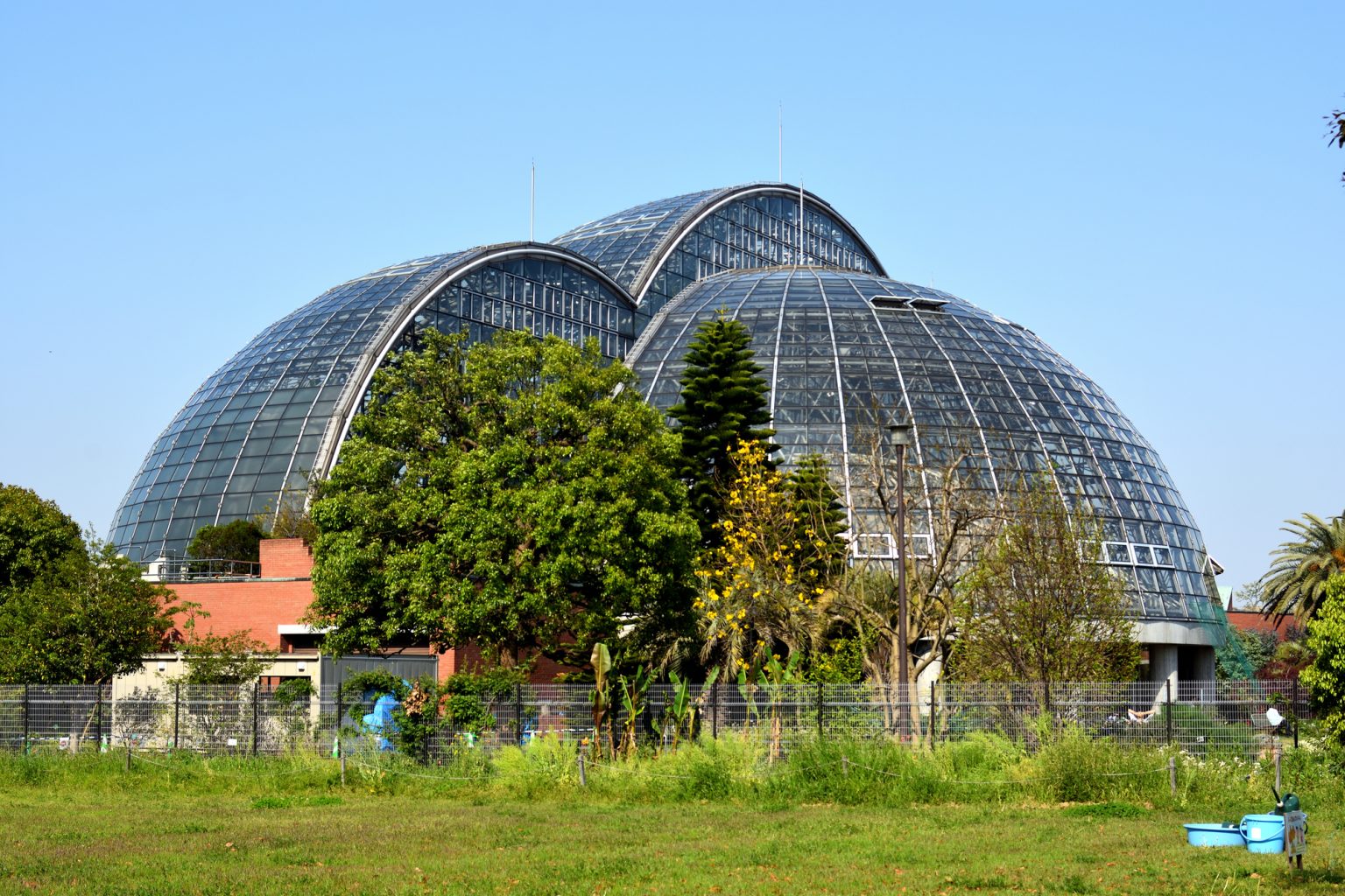 夢の島熱帯植物館