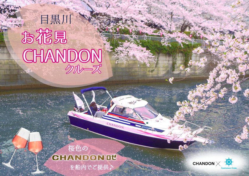 川の上のボートから桜を見る