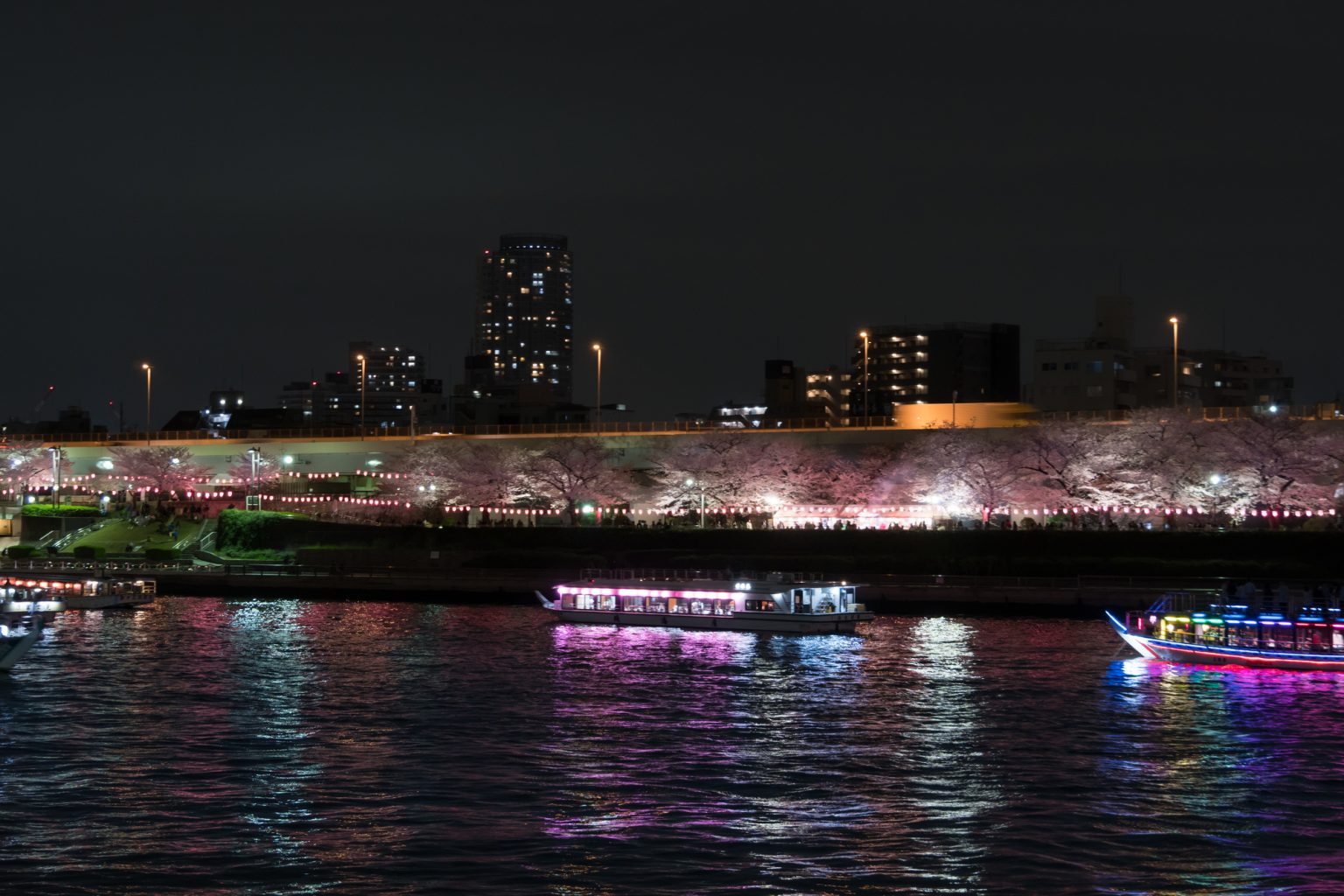 夜のお花見とクルーザー