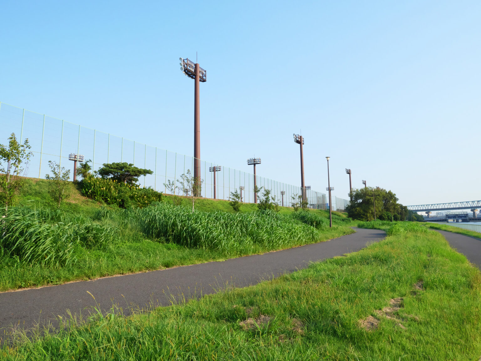 夢の島東少年野球場