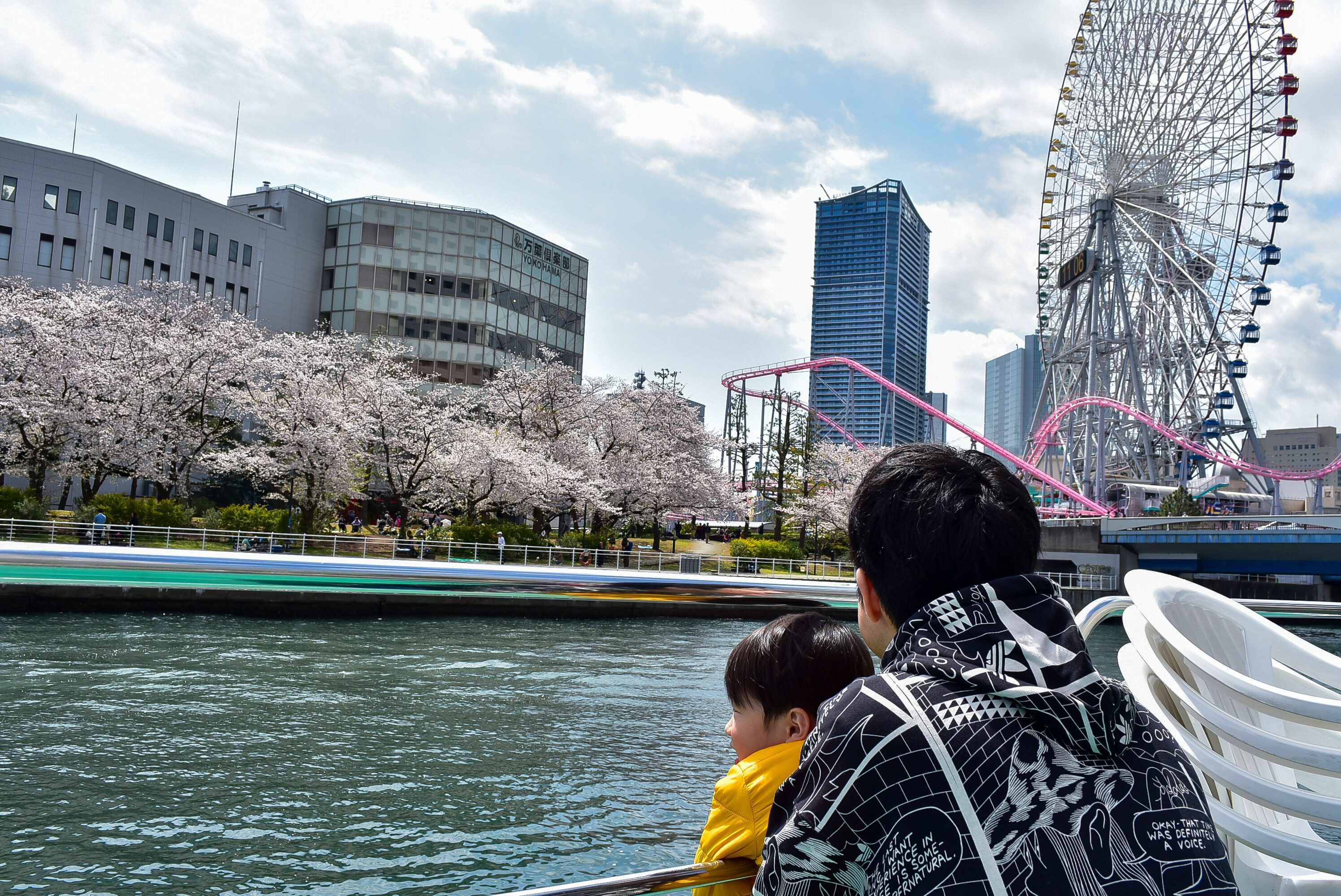 みなとみらいエリアの国際橋付近の桜並木