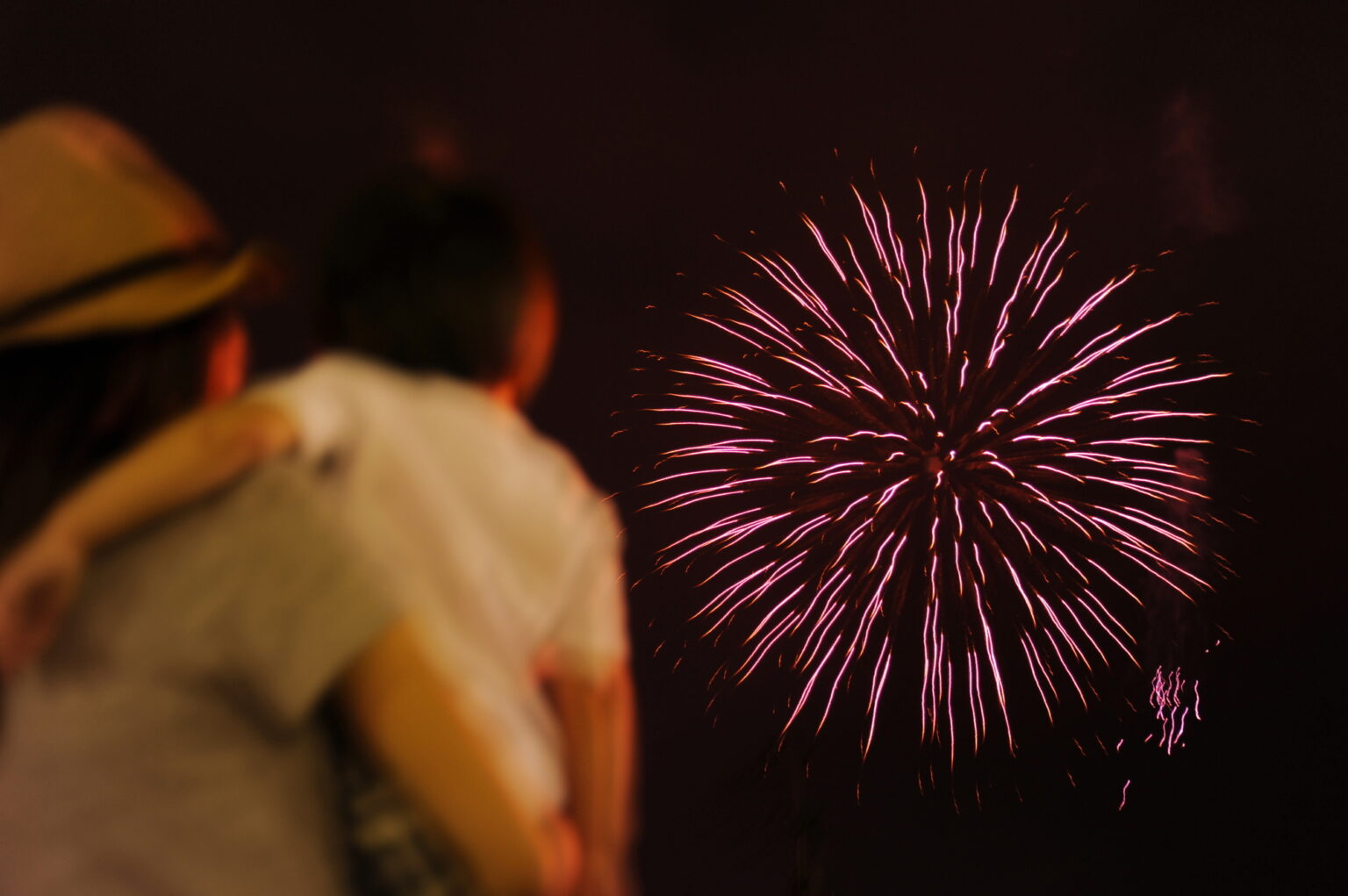 親子で花火を見る様子