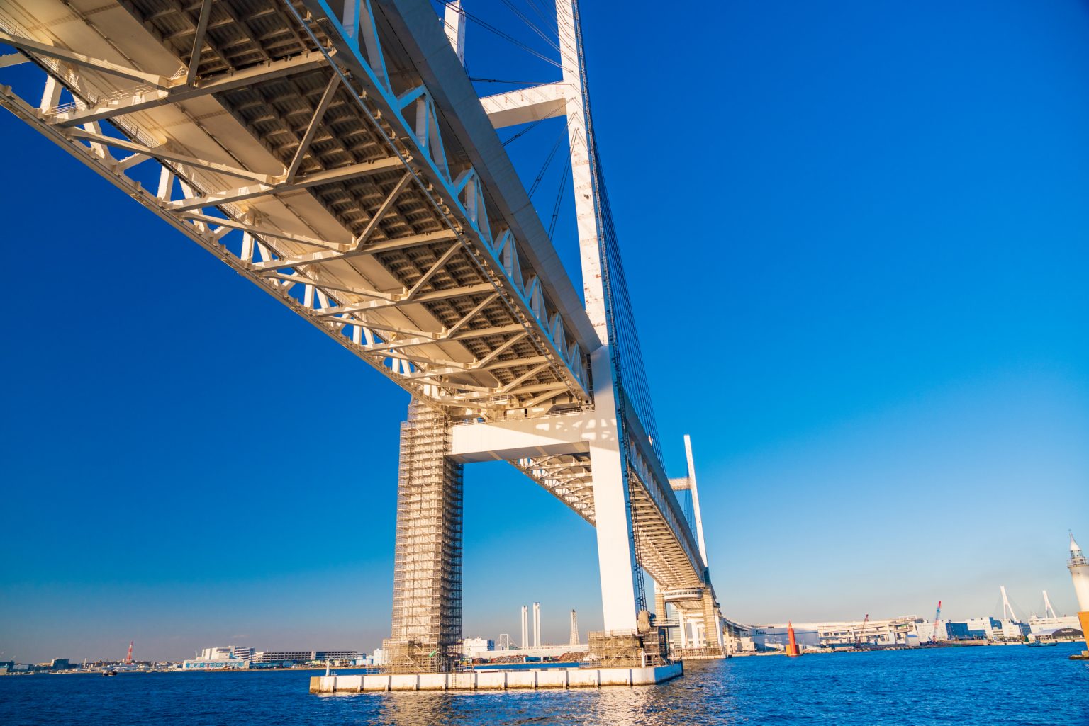 レインボーブリッジを下から見た風景