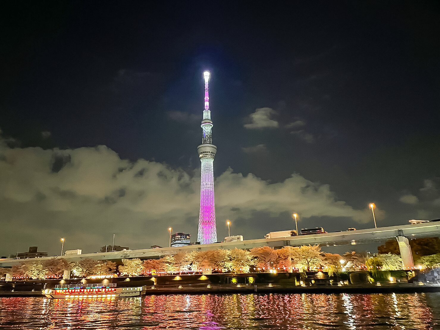 ピンク色に点灯するスカイツリーと満開の桜