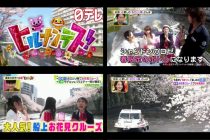 「ヒルナンデス!」の「おひとり様さんぽ」に【目黒川お花見CHANDONクルーズ】が取り上げられました