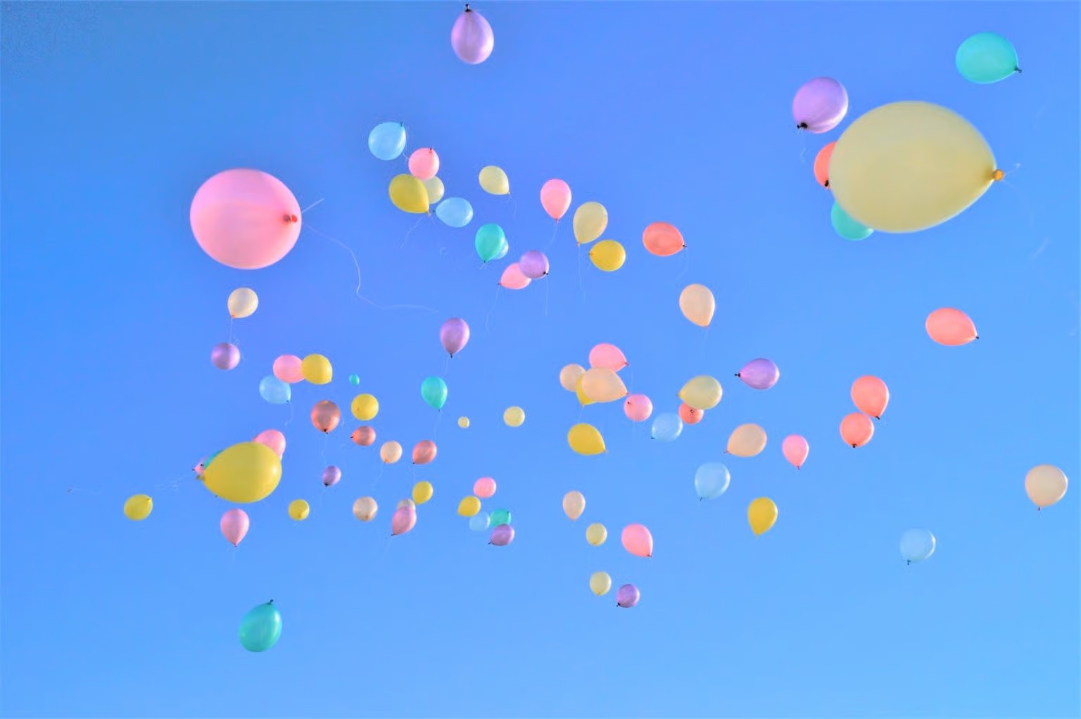 カラフルなバルーンが放たれた様子