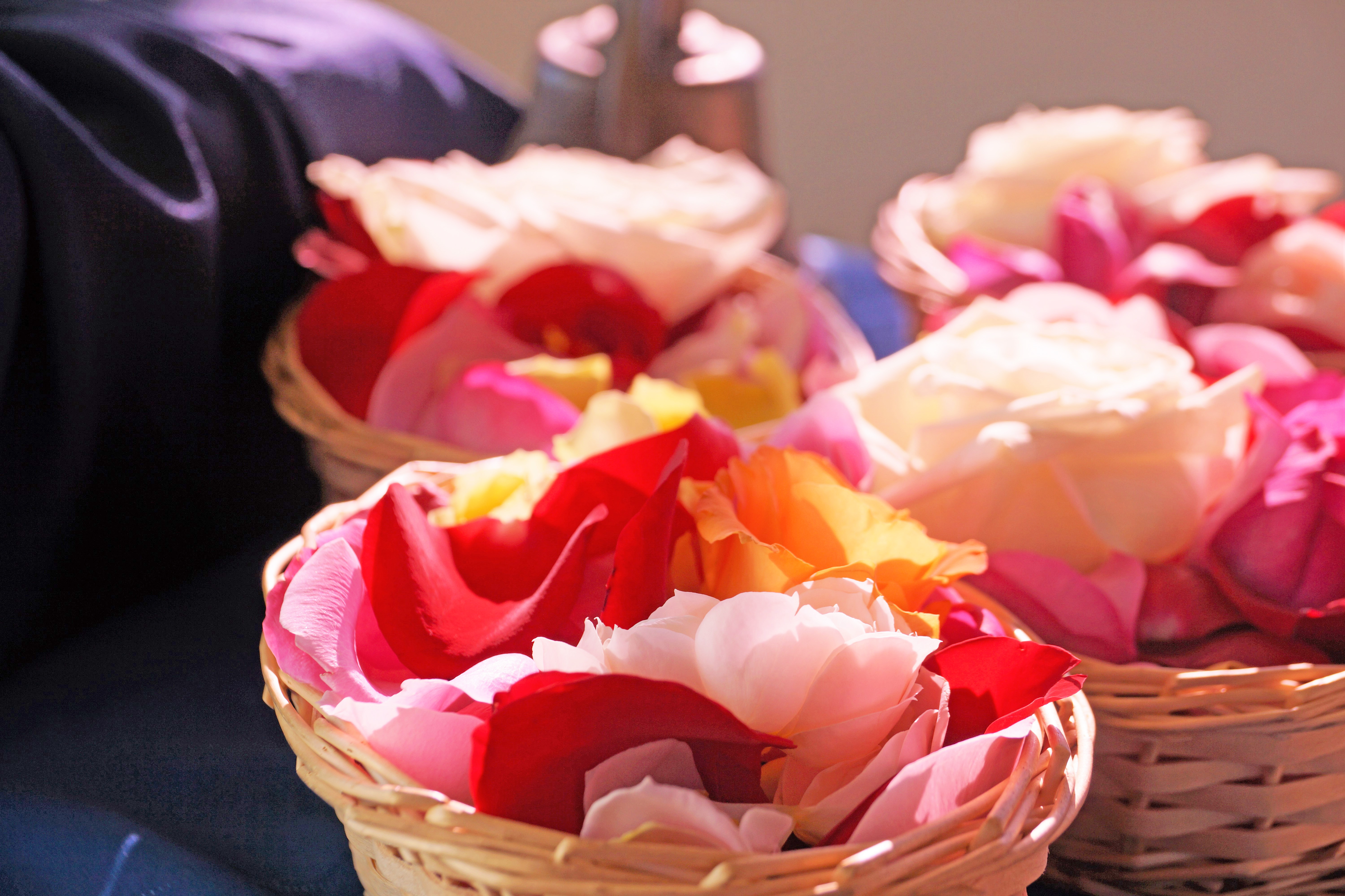 海洋散骨　献花