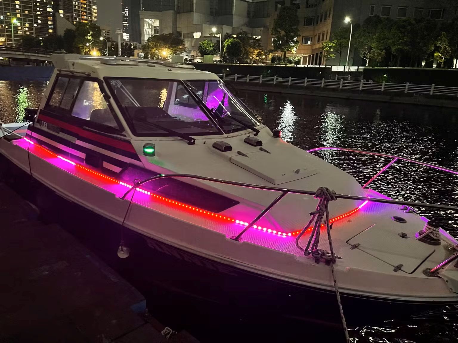 アニー 外観ライト 船首側