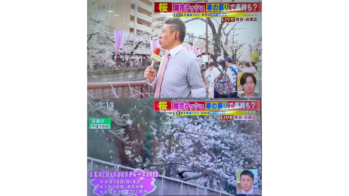 「ゴゴスマ -GO GO!Smile!-」にて弊社の「目黒川お花見CHANDONクルーズ」が取り上げられました。