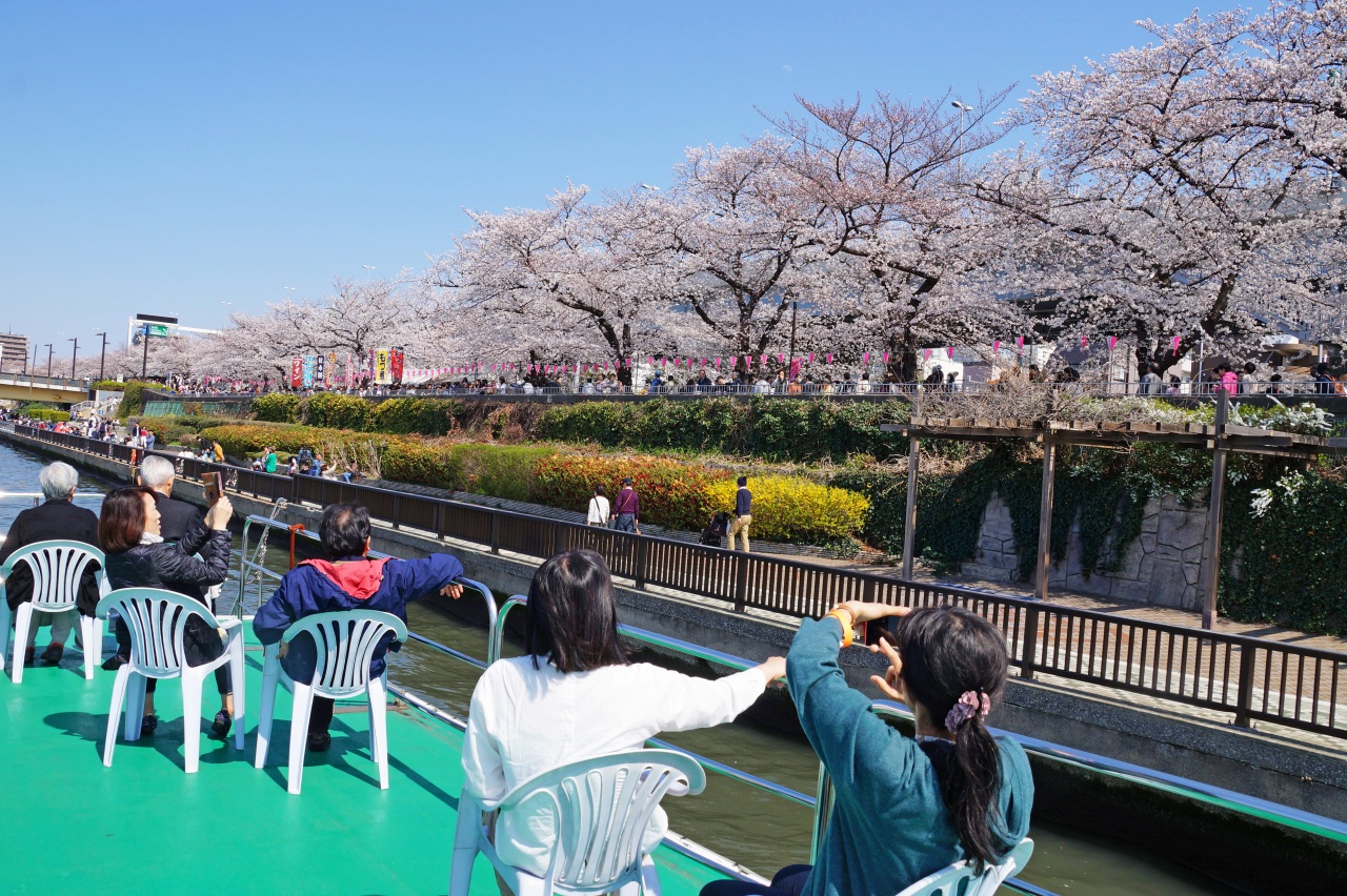 隅田川お花見クルーズを2階デッキで楽しむ人々
